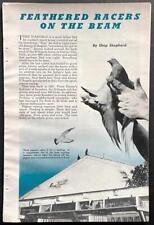 Pigeon racing 1952 for sale  Diamond Point