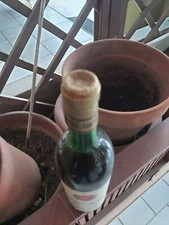 Vino collezione dorato usato  Cagliari