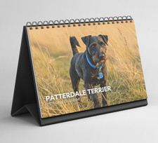 Patterdale terrier desk for sale  HORSHAM