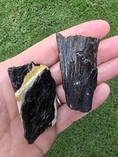 Chunks mosasaur jaw for sale  Frisco