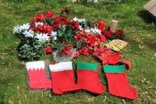 Huge poinsettia flowers for sale  Little Hocking
