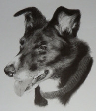 Original signed pencil d'occasion  Expédié en Belgium