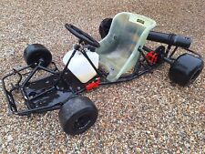 Petrol racing kart for sale  HOOK