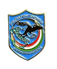 Pins distintivo polizia usato  Rovigo