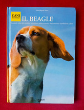 Cani premio beagle usato  Scandicci