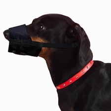 Dingo nylon muserolle d'occasion  Lyon I