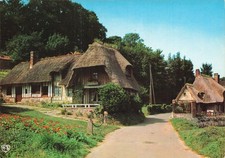 Veules roses cressonnieres d'occasion  France