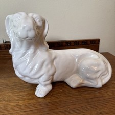 Large white dachshund for sale  Yoakum
