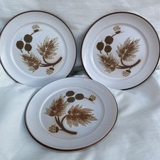 Plate. vintage 1970 for sale  CARNFORTH