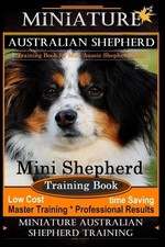 Miniature australian shepherd for sale  Lynden