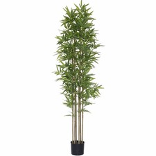 Softflame 6ft bamboo for sale  USA