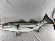 Inch stripped bass for sale  Melbourne