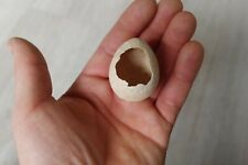 Vogel ausgestorbene vogelart gebraucht kaufen  Kiel