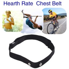Chest belt strap for sale  BOOTLE
