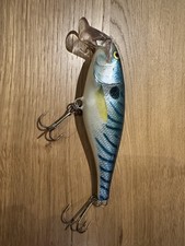 rapala super shad rap gebraucht kaufen  Straßkirchen