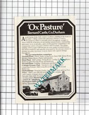 Pasture barnard castle for sale  SHILDON
