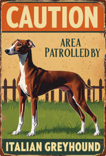 Caution area patrolled for sale  DUNSTABLE