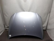 Passat motorhaube klappe gebraucht kaufen  Delitzsch