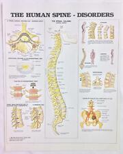 Vintage anatomical chart for sale  Cave Creek