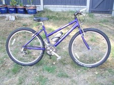 Ladies raleigh speed for sale  LOUGHTON