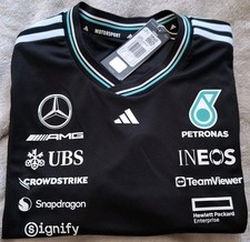 Mercedes amg petronas for sale  CHATHAM