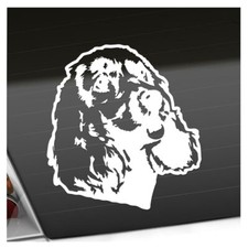 English springer spaniel gebraucht kaufen  Leipzig