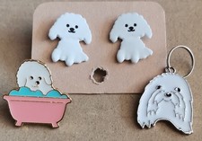 Cute maltese bichon for sale  CROOK