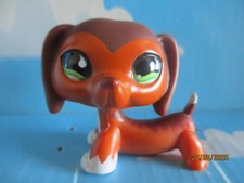 Petshop chien teckel d'occasion  Bailleul