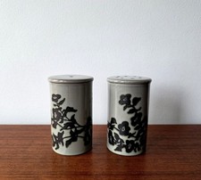 Hornsea prelude cruet for sale Hornsea prelude cruet for sale  HOUGHTON LE SPRING