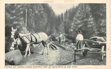 Cartolina aratro cavallo usato  Milano