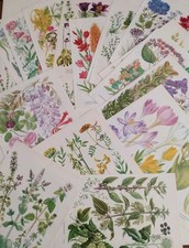 botanical books for sale botanical books for sale BIRKENHEAD