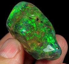65.5ct african polished for sale  Walnut