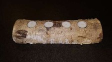 Birkenholz kerzenhalter statt gebraucht kaufen  Hilgertshausen-Tandern