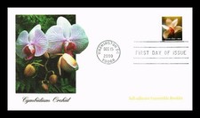 Cover cymbidium orchid for sale  West Chester