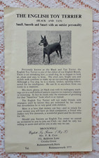 english toy terrier for sale english toy terrier for sale LONDON