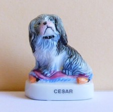 Fève compagnon chien d'occasion  Toulon-