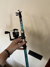Canna pesca fish usato  Brandizzo