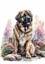Leonberger lovely dog usato  Spedire a Italy