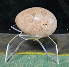 gemstone eggs for sale gemstone eggs for sale Warner Robins