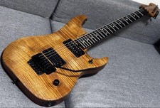 Washburn usa maple usato  Spedire a Italy
