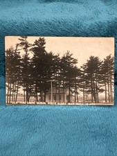 Rppc postcard pine for sale  Ada