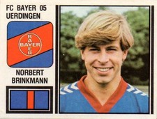 Panini fußball brinkmann gebraucht kaufen  Witzenhausen