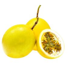 Golden passion fruit for sale  El Monte