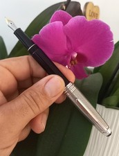 Stilografica montblanc meister usato  Roma