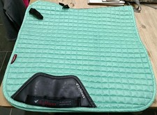 Mieux mint dressage for sale  LLANYBYDDER