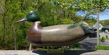 1910 rare mallard for sale  Southampton