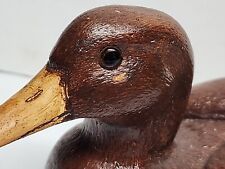 Resin hen mallard for sale  Quinebaug
