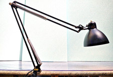 Lampada naska loris usato  Milano