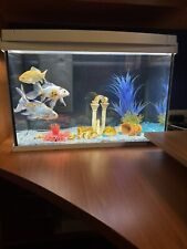 Acquario tetra 62l usato  Monte San Pietro