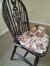 Wheel back windsor for sale  LONDON